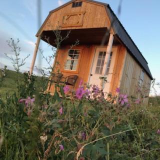 Montana Old West Cabins Guest House Babb Exterior photo